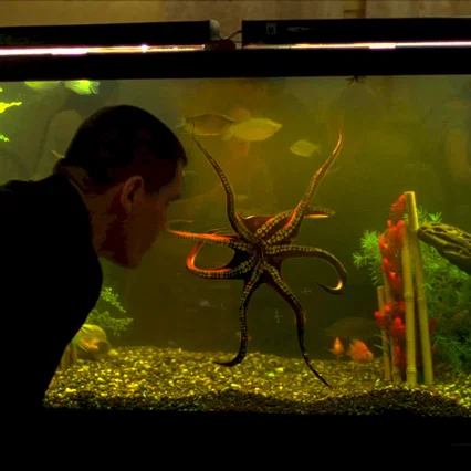 Miniature photo du film : Oldboy