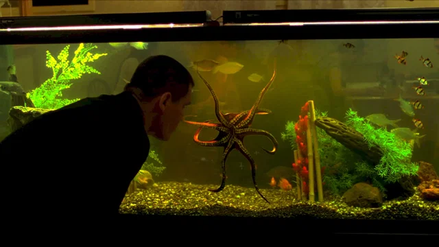 Photo du film : Oldboy