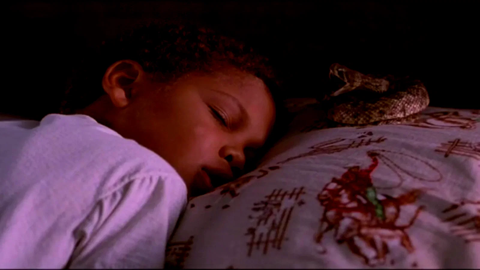 Photo 3 du film : Le bayou