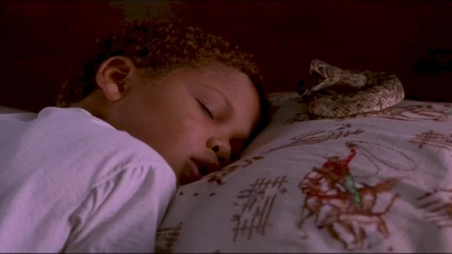 Photo 3 du film : Le bayou