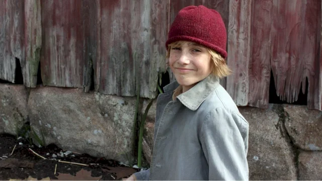 Photo 2 du film : Les oies sauvages