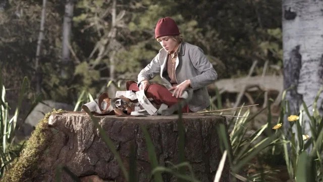 Photo 4 du film : Les oies sauvages