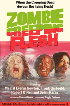 Affiche du film Virus