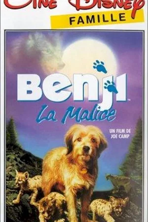 Affiche du film : Benji la malice