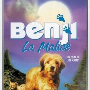 Photo du film : Benji la malice