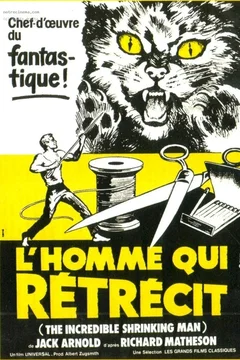 Affiche du film Mister x