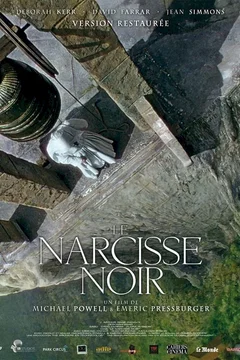 Affiche du film Narcisse