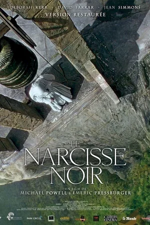 Affiche du film : Narcisse