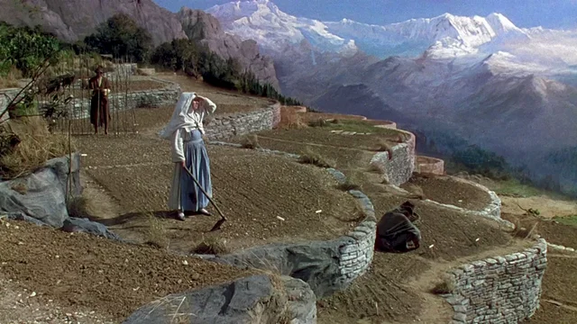 Photo 5 du film : Narcisse