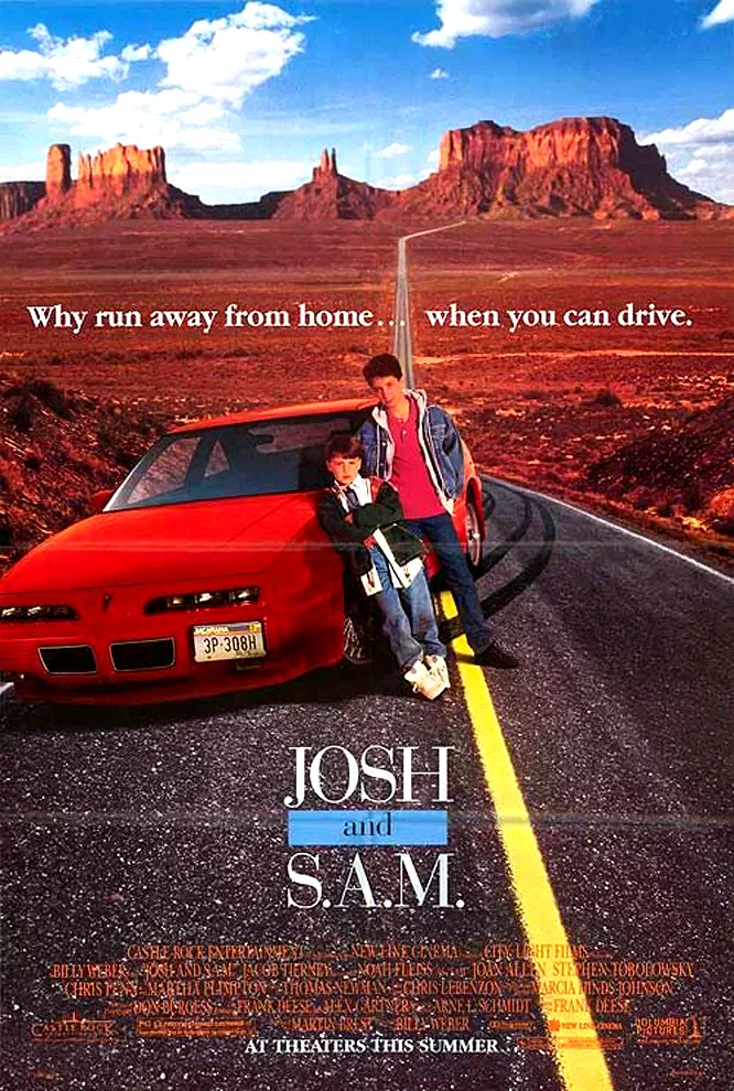 Affiche du film : Josh and sam