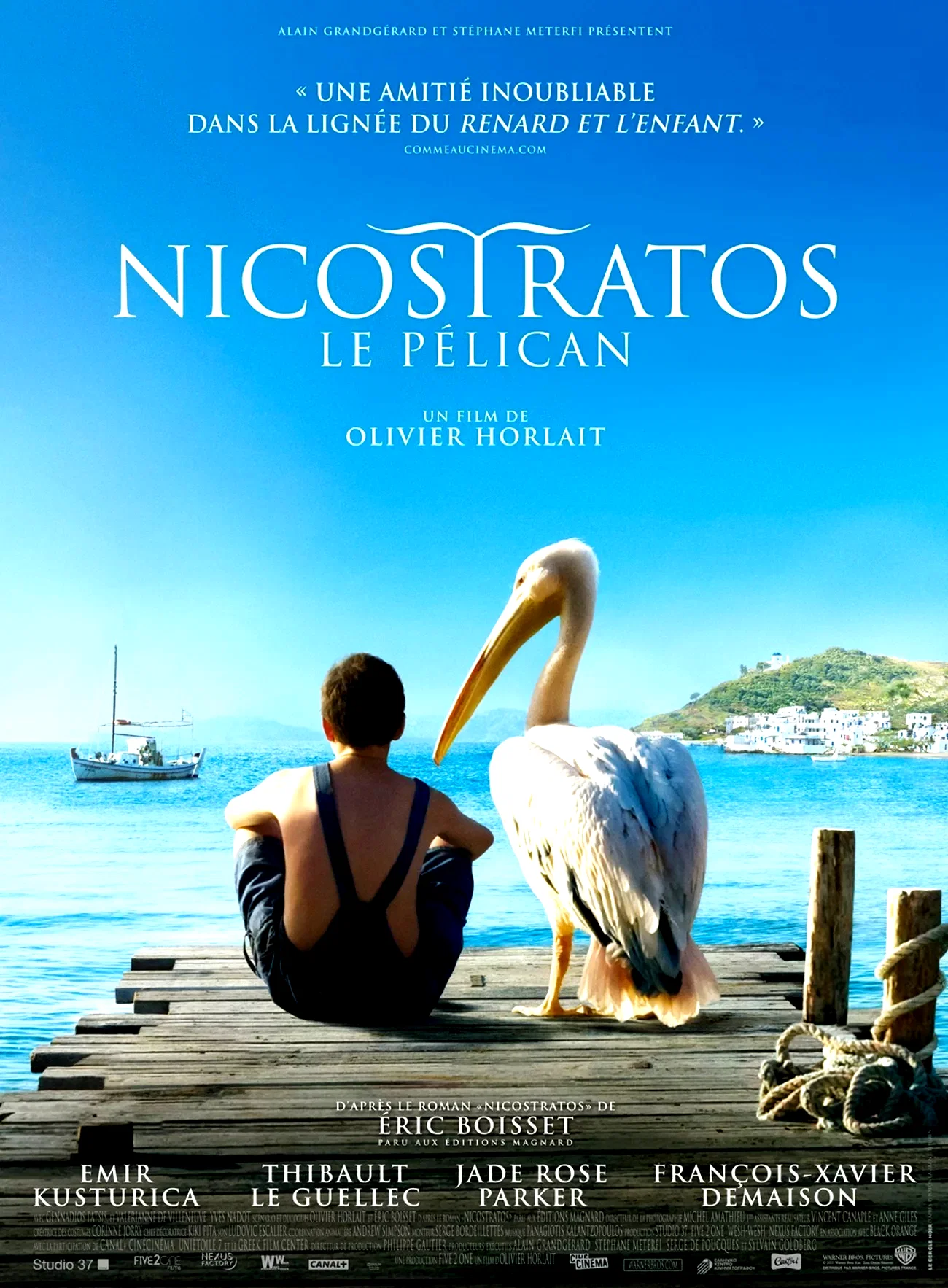 Affiche du film : Le pelican
