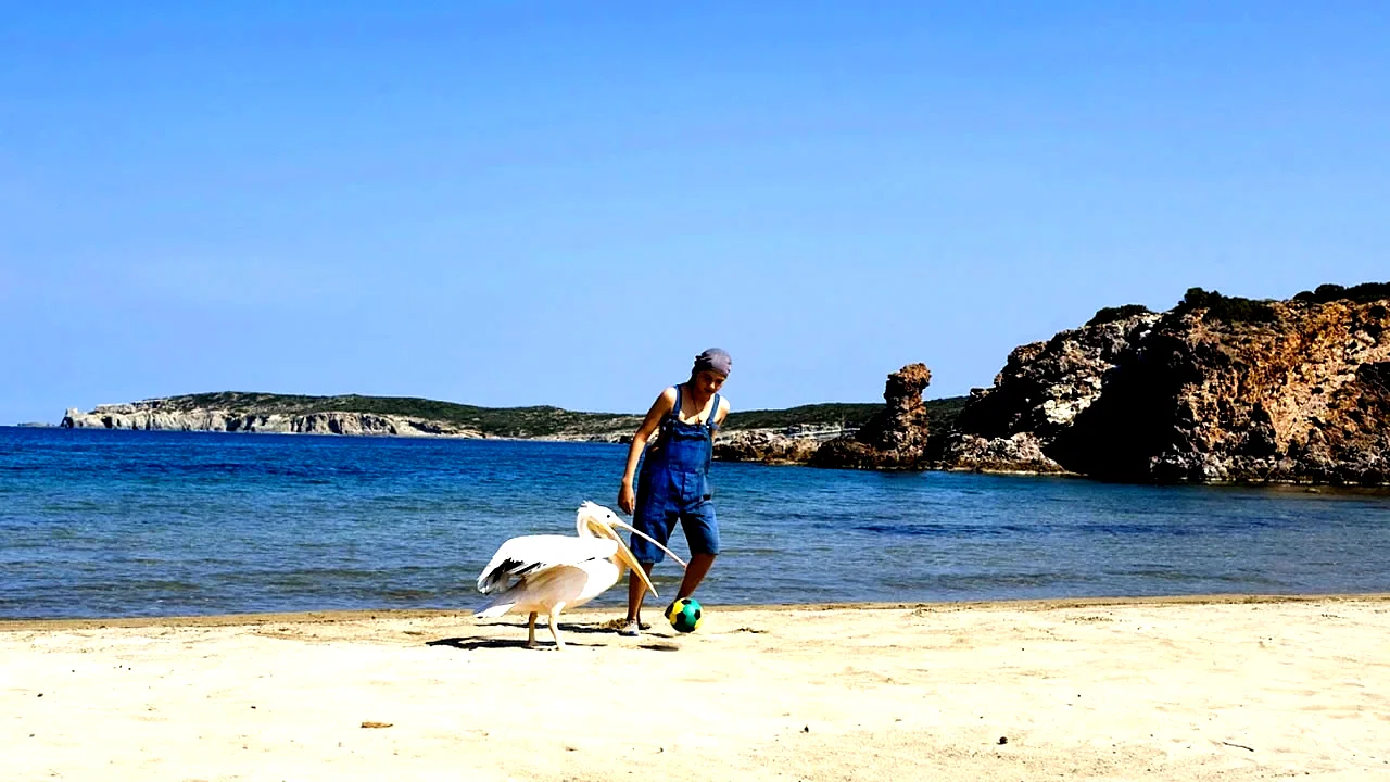Photo 2 du film : Le pelican