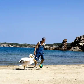 Photo du film : Le pelican