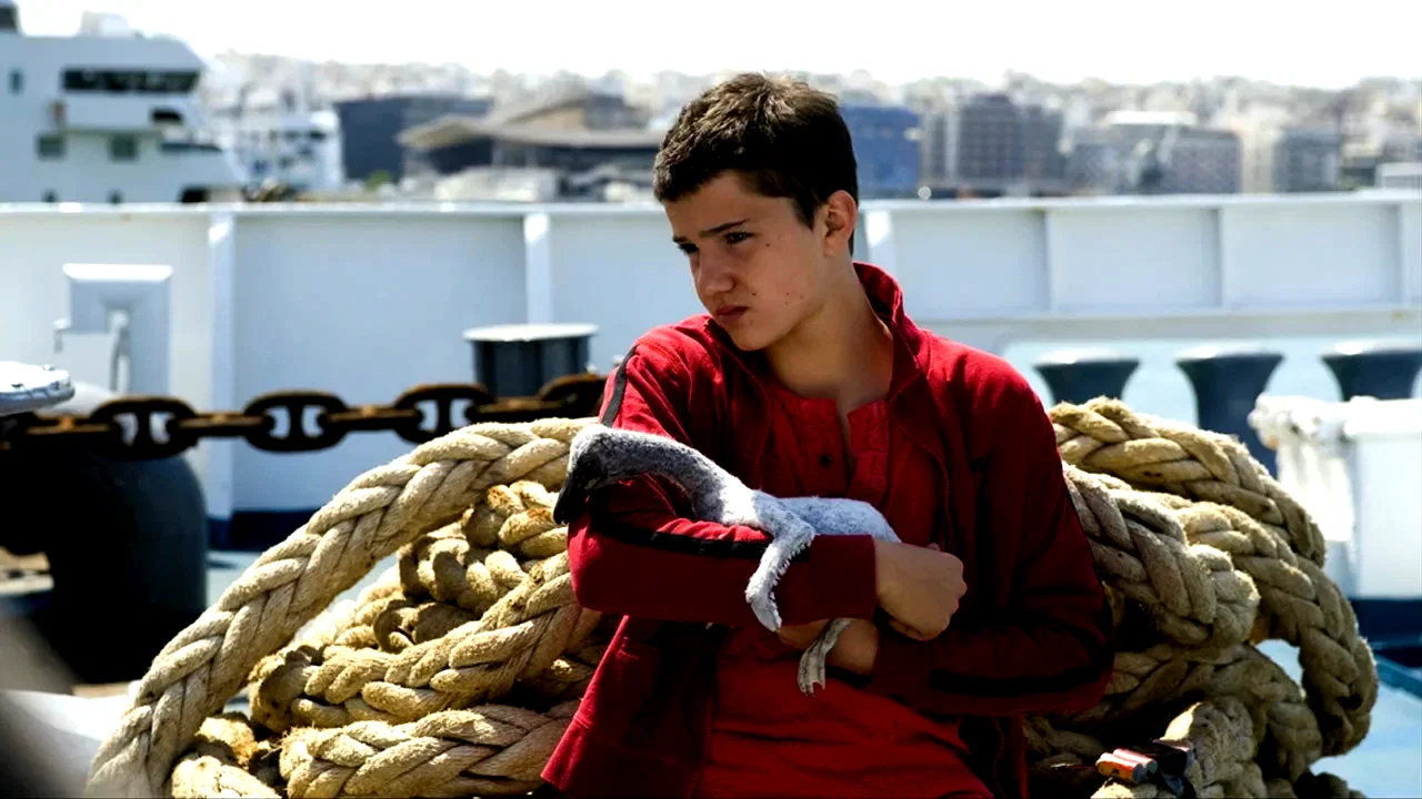 Photo 4 du film : Le pelican