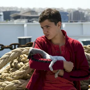 Photo du film : Le pelican