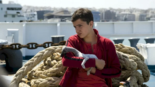 Photo 4 du film : Le pelican