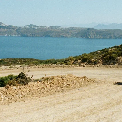 Miniature photo du film : Le pelican