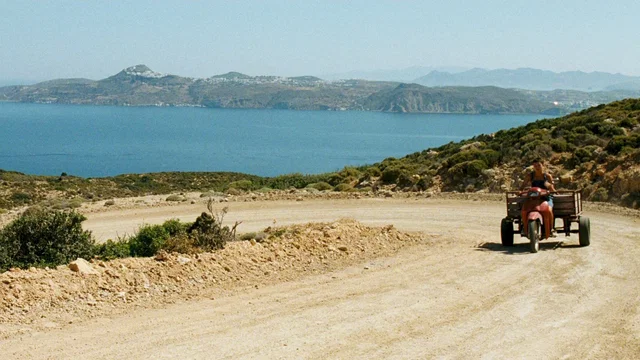 Photo 5 du film : Le pelican