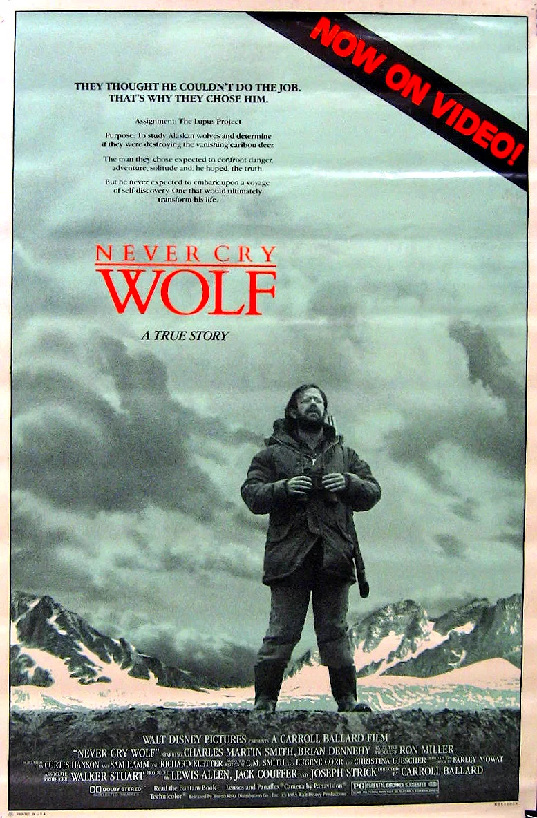 Affiche du film : Un homme parmi les loups