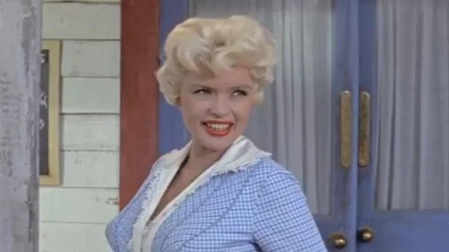 Photo du film : La blonde et le sheriff