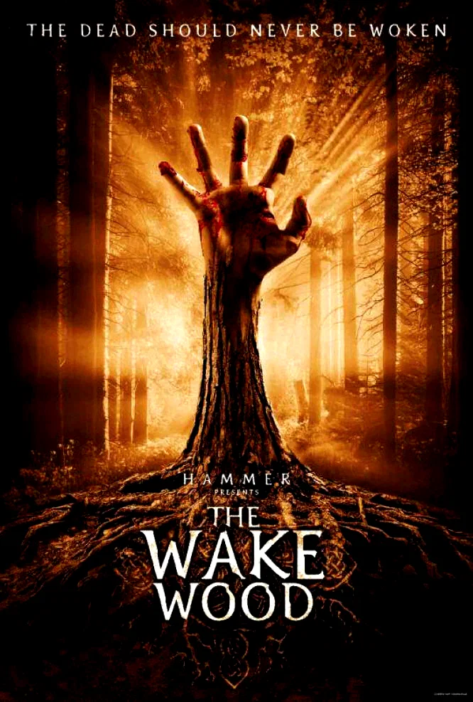 Affiche du film : Hazara