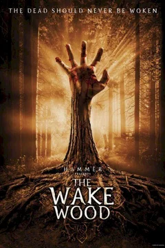 Affiche du film Hazara
