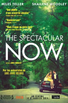 Affiche du film The Spectacular Now