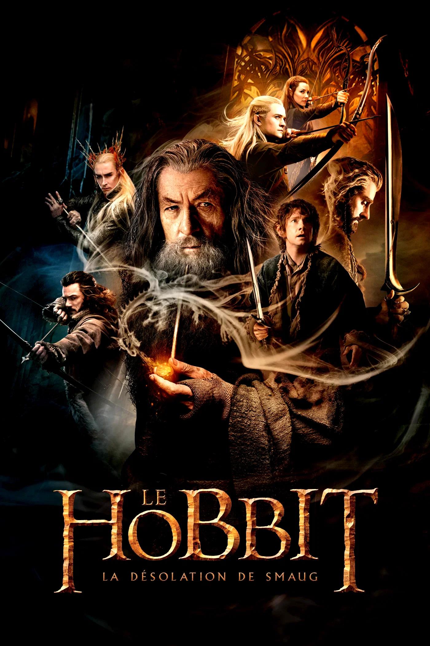 Affiche du film : Le Hobbit : la Désolation de Smaug 