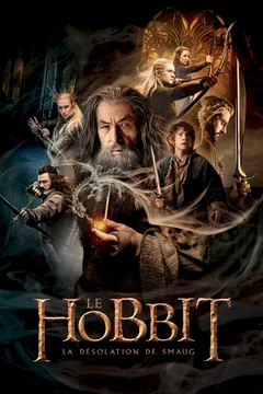Affiche du film = Le Hobbit : la Désolation de Smaug 