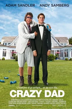 Affiche du film Drole de pere
