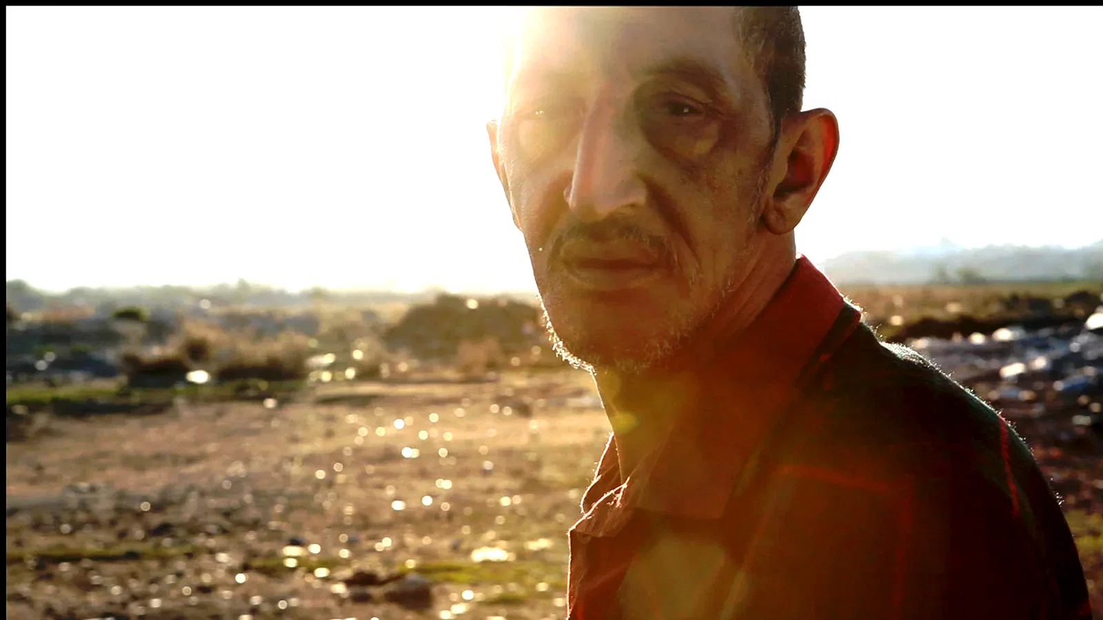 Photo 8 du film : C'est eux les chiens