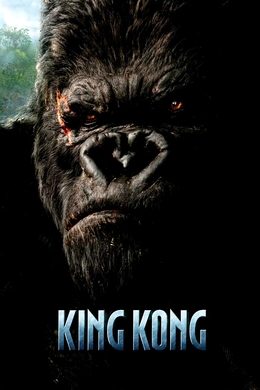 Affiche du film : King Kong