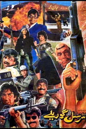 Affiche du film : Guerillas