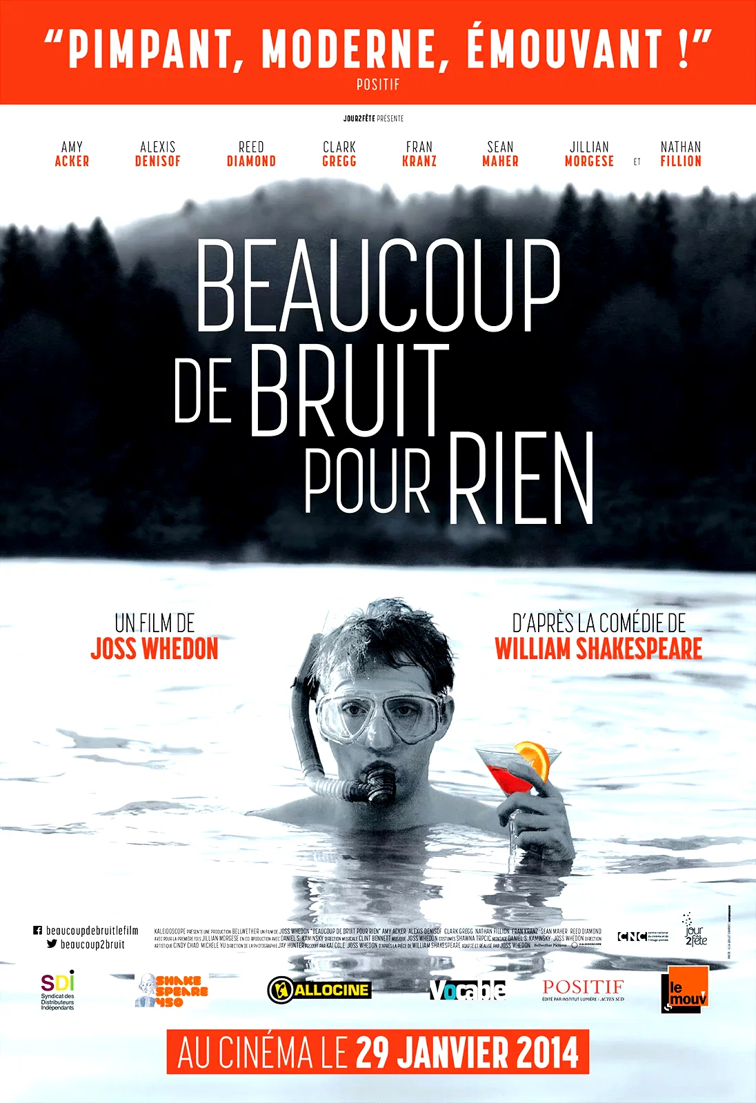 Affiche du film : Beaucoup de bruit pour rien
