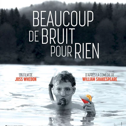 Miniature photo du film : Beaucoup de bruit pour rien