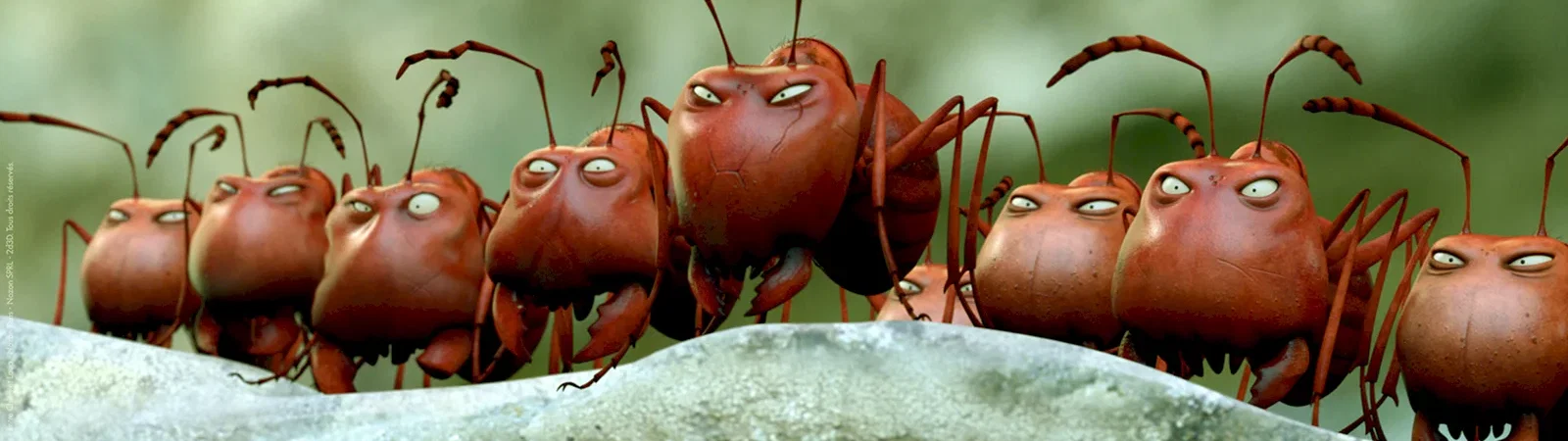 Photo du film : Minuscule - La Vallée des Fourmis Perdues