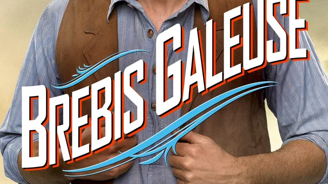 Affiche du film : Albert à l'ouest