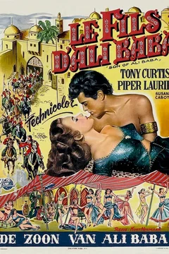 Affiche du film Le fils d'ali baba