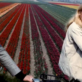 Photo du film : Courage fuyons