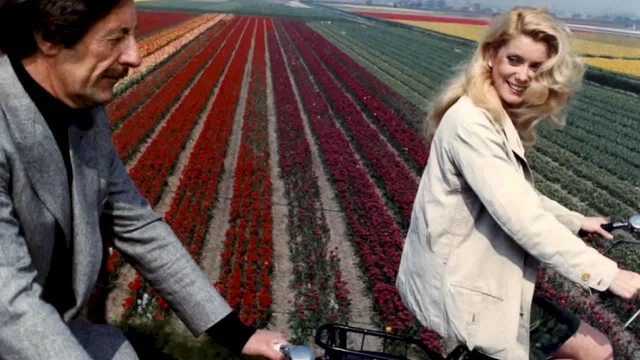 Photo 2 du film : Courage fuyons