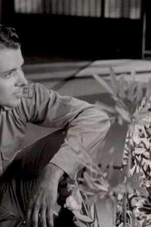 Affiche du film : Joe butterfly