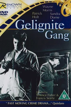 Affiche du film The gelignite gang