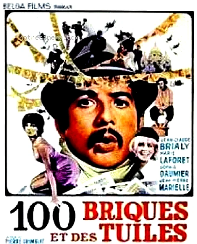 Affiche du film : Cent briques et des tuiles