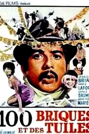 Affiche du film : Cent briques et des tuiles
