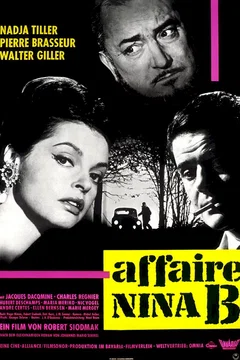 Affiche du film L'affaire nina b