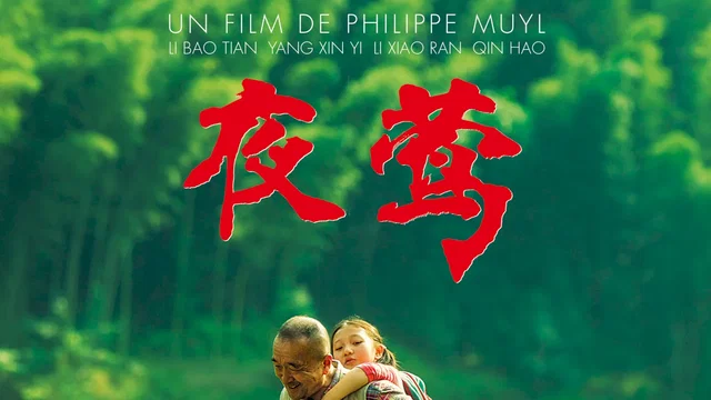 Affiche du film : Le Promeneur d'oiseau