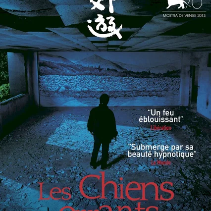 Miniature photo du film : Les Chiens Errants