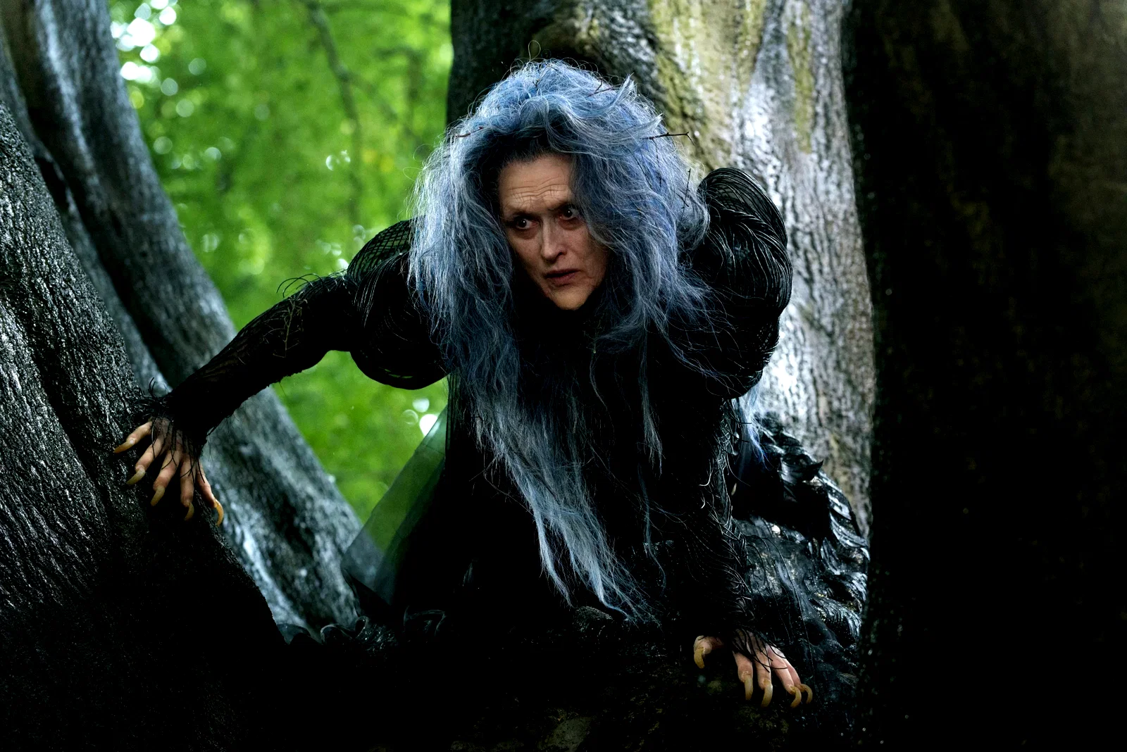Photo 2 du film : Into the Woods 