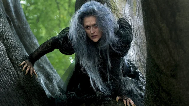 Photo 2 du film : Into the Woods 