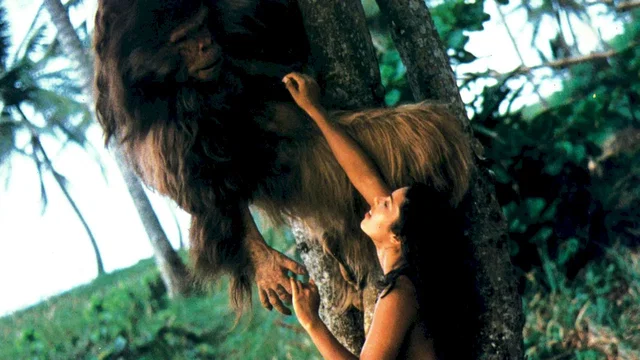Affiche du film : La bete d'amour